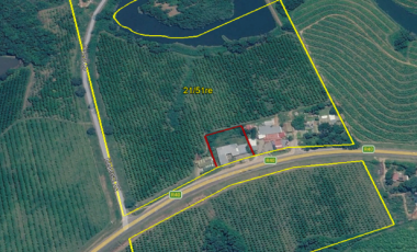Prime Macadamia Irrigation Farms with Water Rights – Hazyview