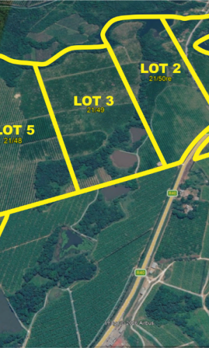 Prime Macadamia Irrigation Farms with Water Rights – Hazyview