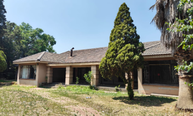 Fixer Upper, Three Rivers! Stunning Improvements, Huge Stand