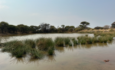 700 ha game farm with game & improvements, Dwaalboom Area