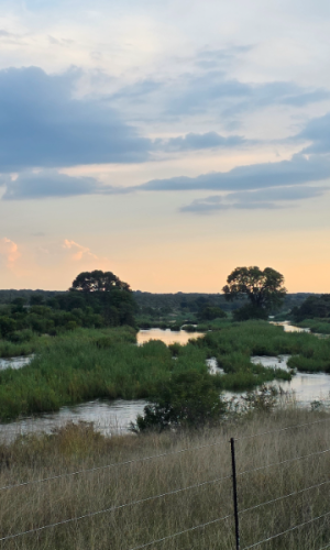 721 ha Bushveld Game Farm with Game, Marble Hall District