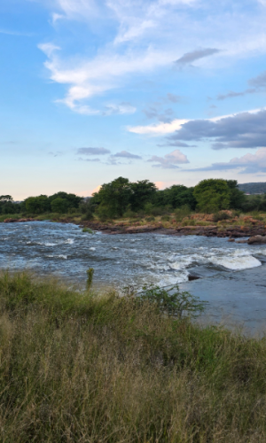 721 ha Bushveld Game Farm with Game, Marble Hall District