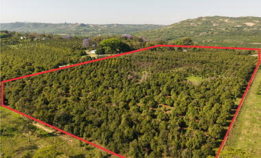 6ha Macadamia Farm with Water & Movables, just outside Nelspruit