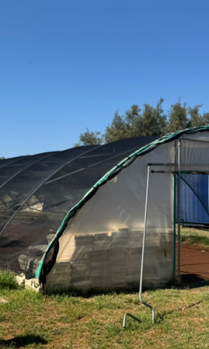 50 ha Aquaponics Farm with Water Rights & Movables - Hekpoort