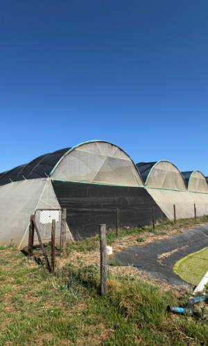 50 ha Aquaponics Farm with Water Rights & Movables - Hekpoort