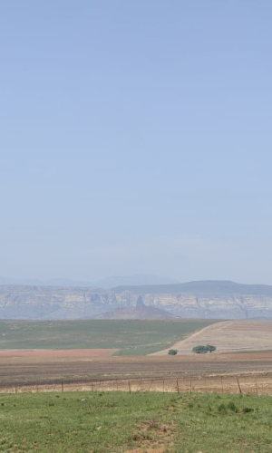 488 ha Livestock & Crop Farm - Phuthaditjhaba