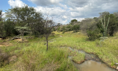 870 hectares game & cattle farm, game included - Vaalwater Area, LP