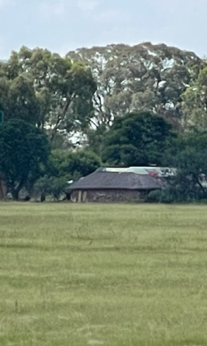 Two adjacent 4-ha holdings, Randfontein